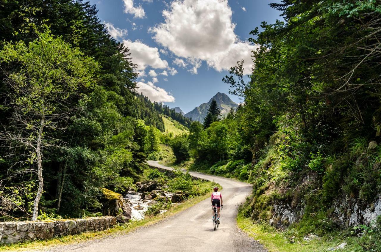 Pyrenees Cycling Lodge Saint-Savin  Екстер'єр фото